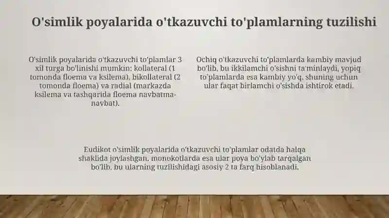 O'tkazuvchi to'plamlarning turlari va ularning tuzilishi 4