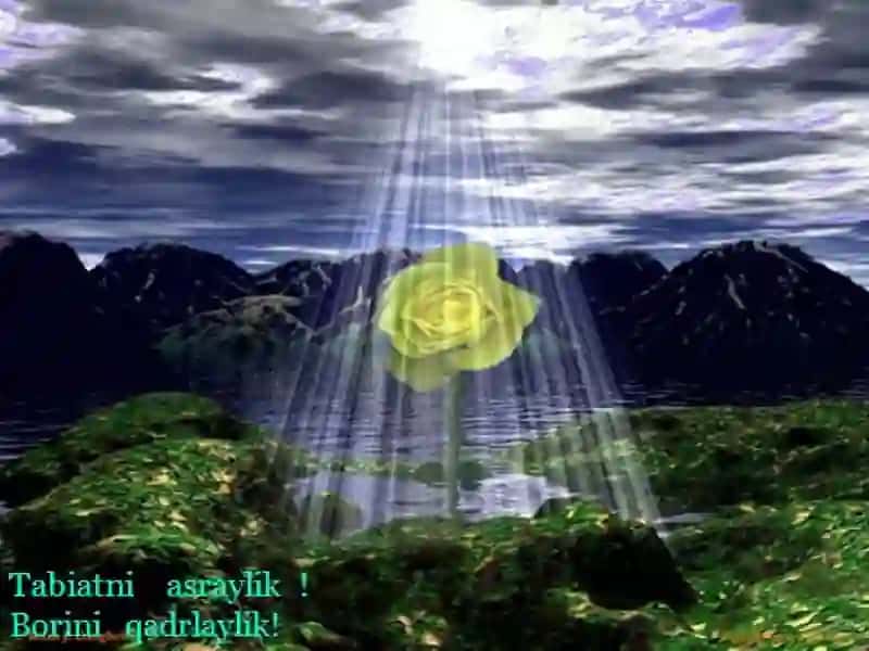 Insonuchun foydali suvlar 4