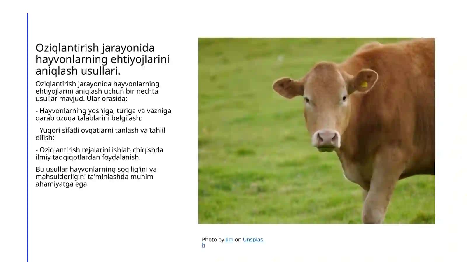 Oziqlanishning asosiy tamoyillari 4