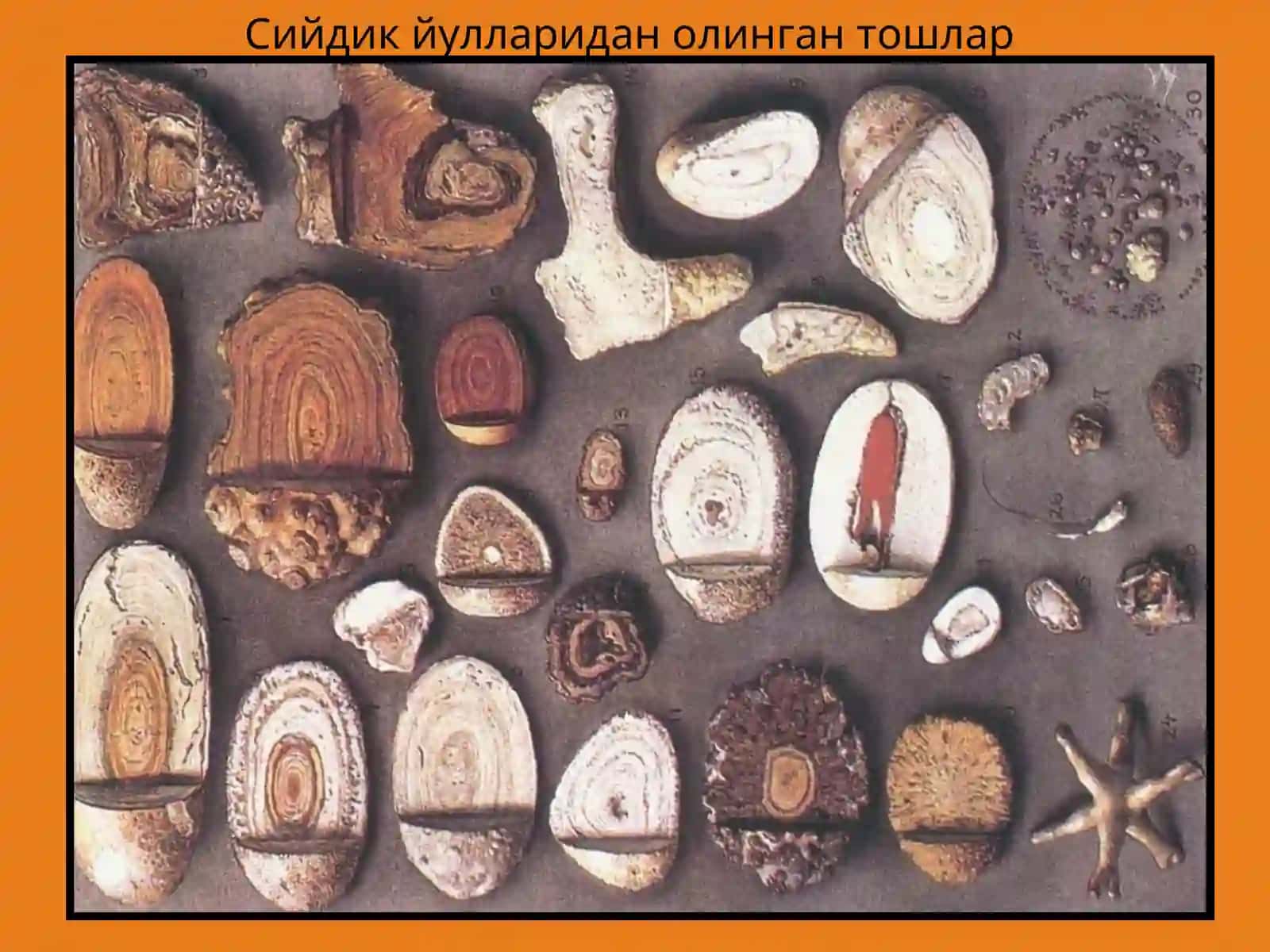 У Р О Л И Т И А З 4