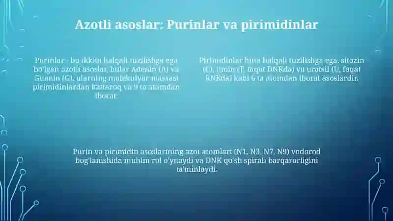 Nukleotidlarning tuzilishi va funksiyasi 4