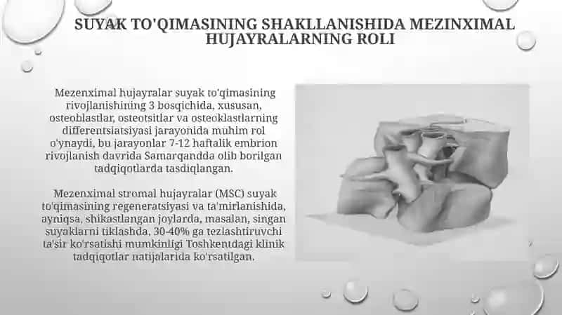 Mezinximaning tuzilishi va ahamiyati 4