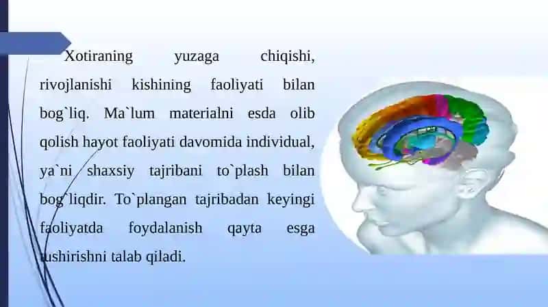Xotira, uyqu, hissiyotlar  nutq fiziologiyasi 4