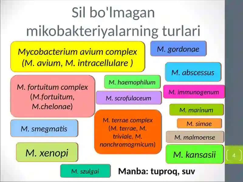 Atipik mikobakteriyalar va ularni amaliyotdagi ahamiyati . 4