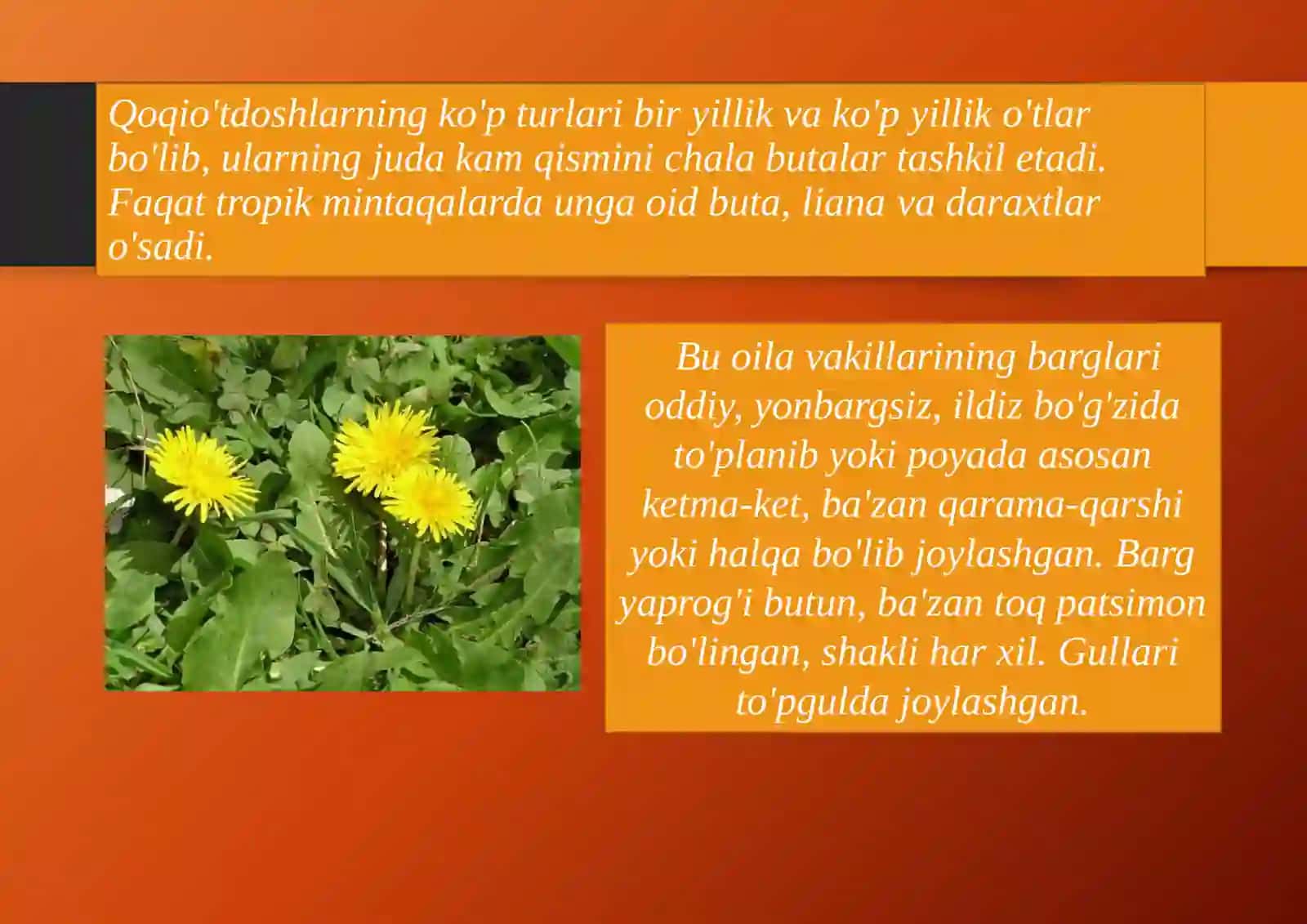 BIOLOGIYA TA’LIM YO’NALISHI (SIRTQI) 4
