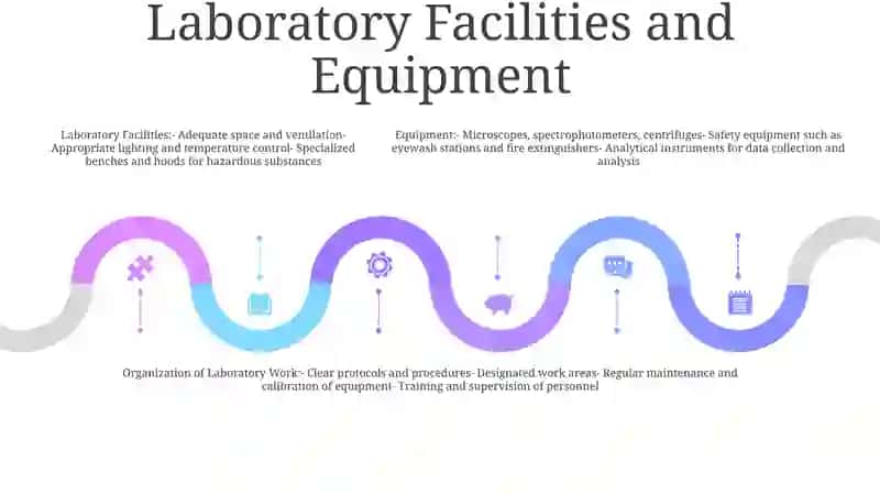 Organization Of Laboratory Work 4