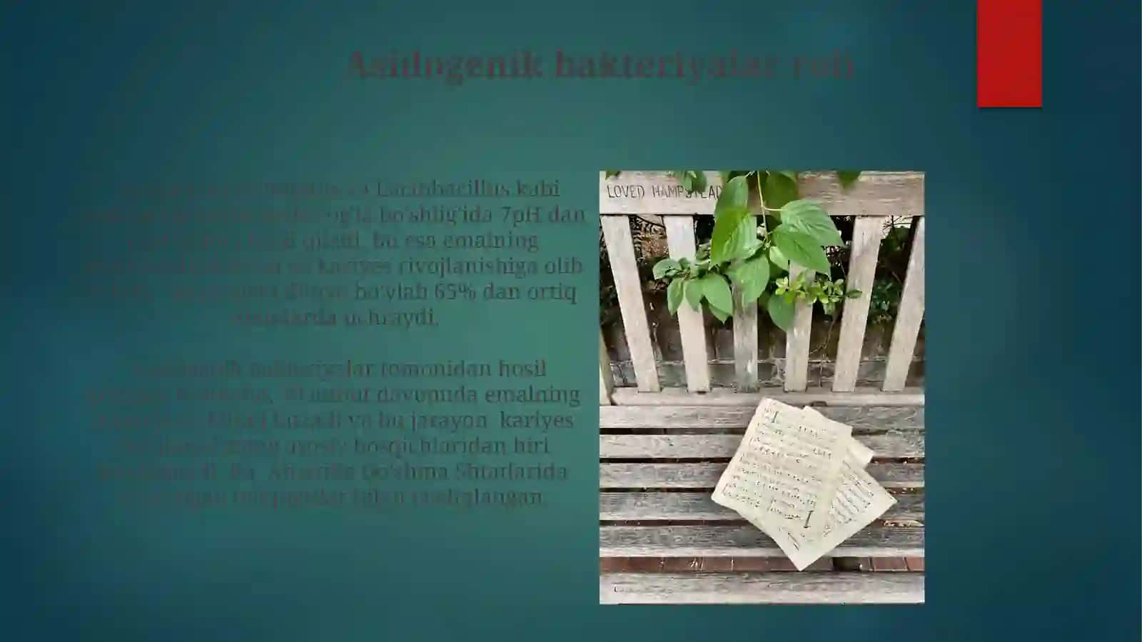 Kariyeskelibchiqishnazariyasi 4