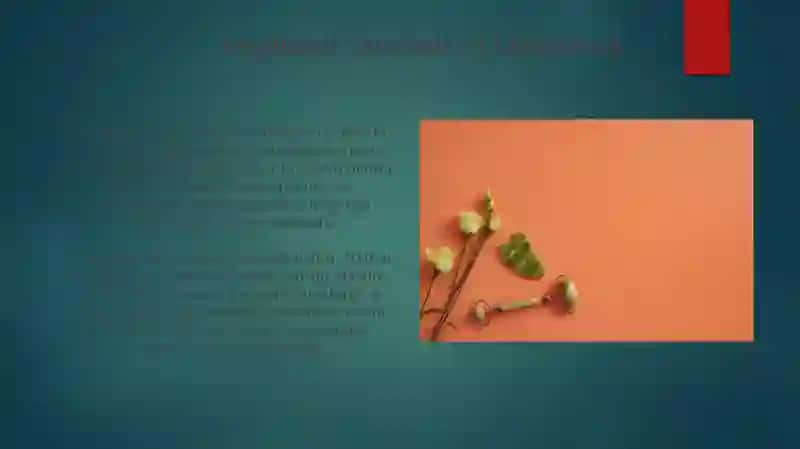 Power-point 4