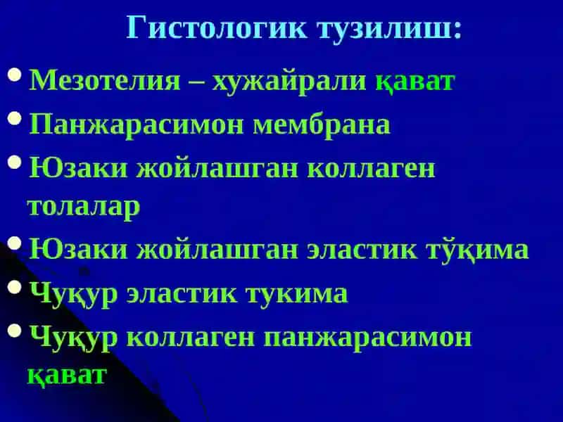 Плевра туберкулези. Туберкулез менингити 4