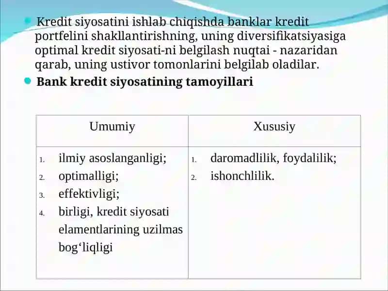 RIVOJLANGAN MAMLAKATLAR BANK AMALIYOTIDA KREDIT SIYOSATI VA UNING O'ZIGA XOS XUSUSIYATLARI 4