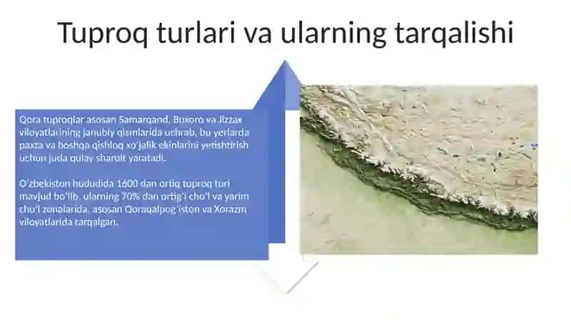 Oʻzbekiston Tuproq Qoplami va Oʻsimliklari 4