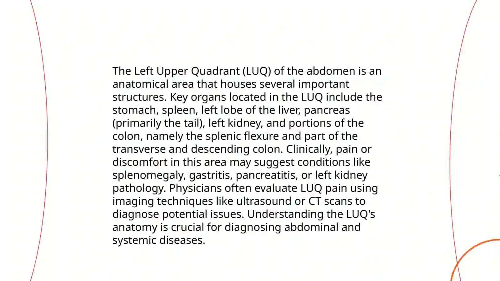 Topographic regions of the abdomen and organs located in them 4