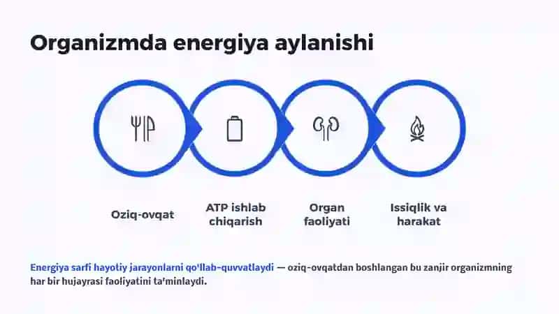 Organizmda energiya sarfi 4