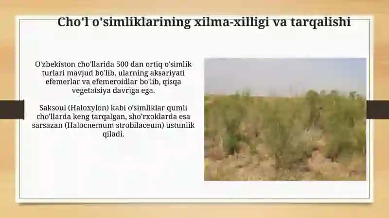 O'zbekistonning cho'l zonasi o‘simliklari va ularni muhofaza qilish 4