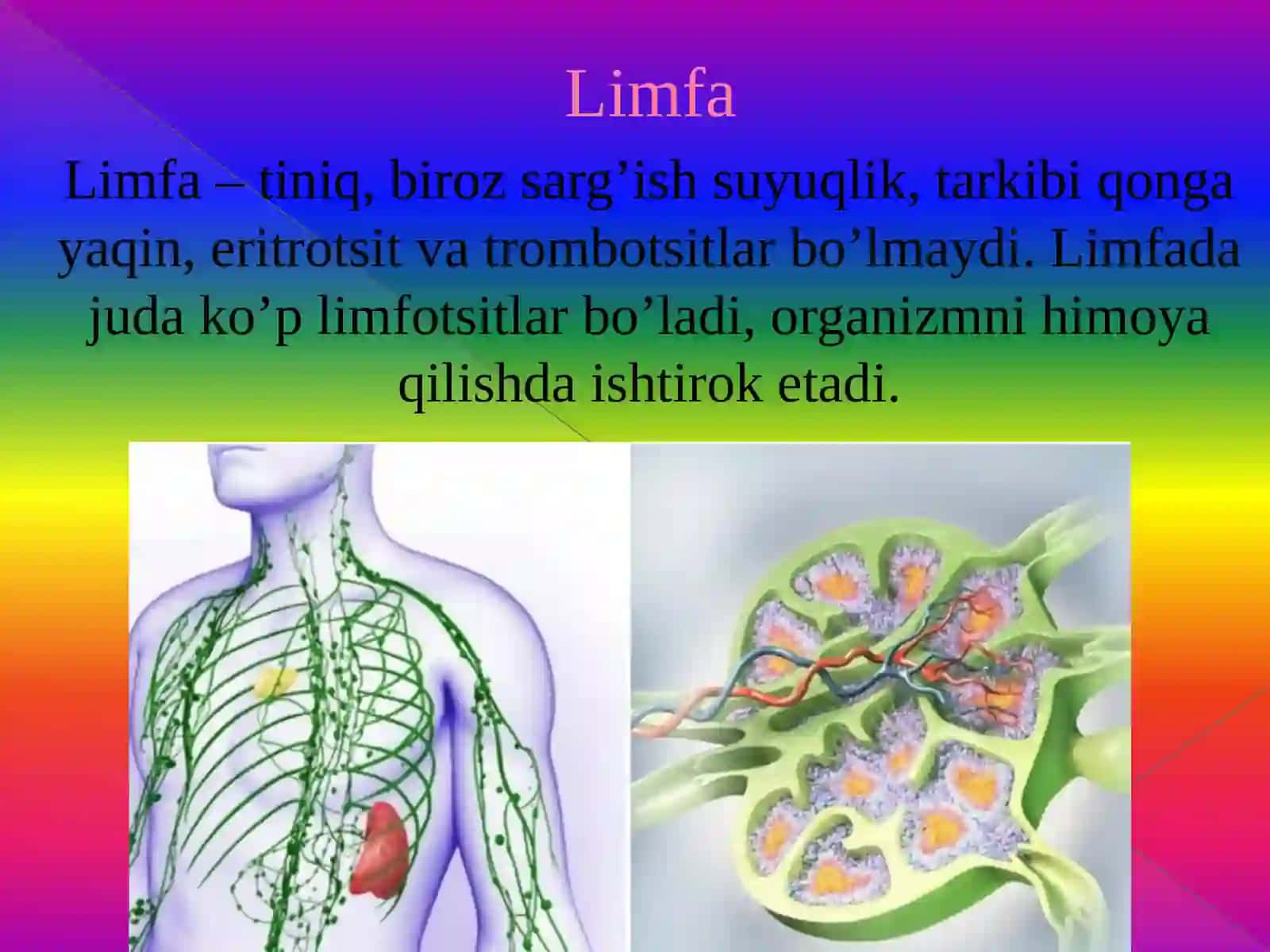 Qon va uning vazifalari 4