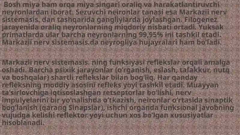Afferent nerv tizimiga ta'sir etuvchi vositalar 4