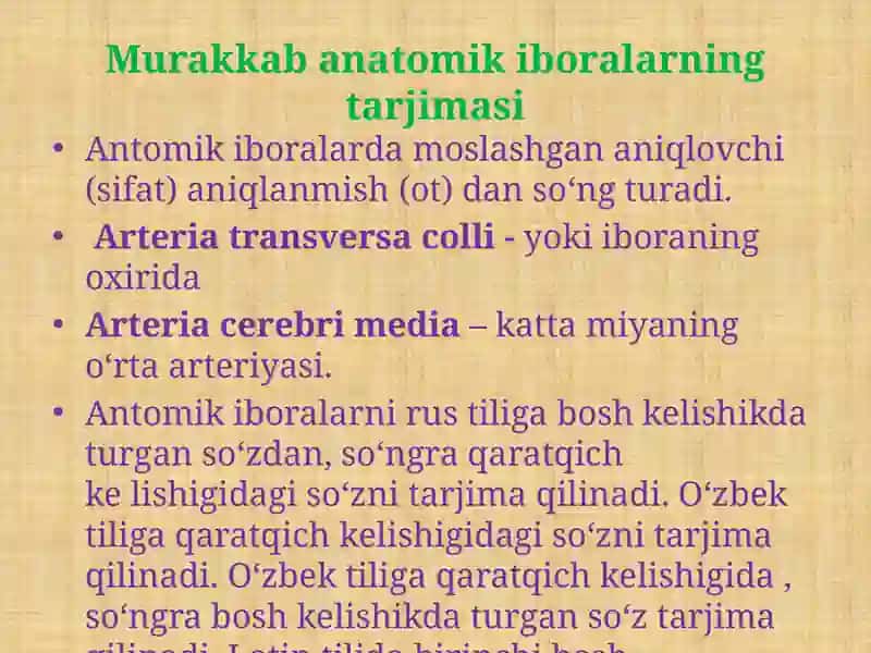 Murakkab Anatomik Iboralarni Tarjima Qilish. Mushaklarning Nomlanishi 4