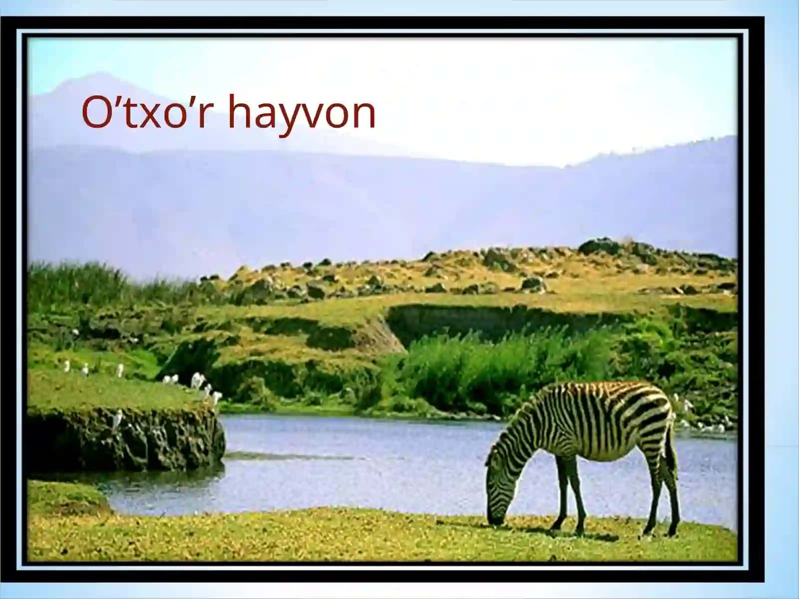 YER QOBIQLARINING O’ZARO TA’SIRI 4