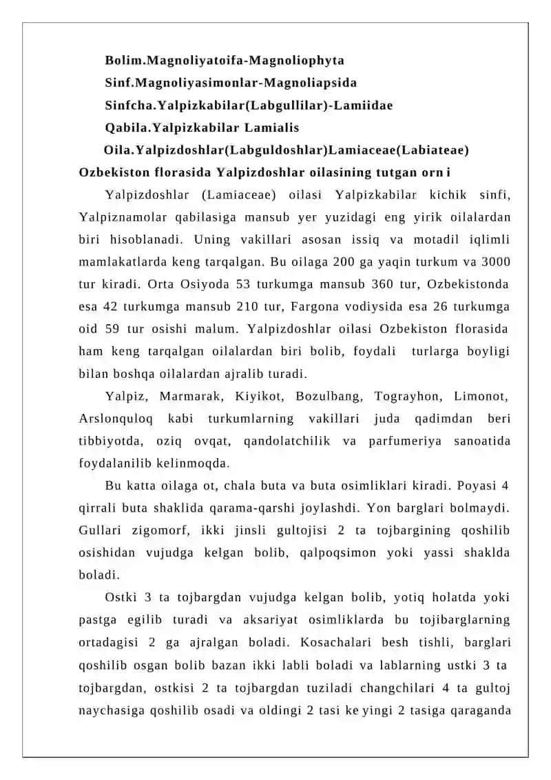 Yalpizdoshlar oilasi haqida umumiy malumot 4