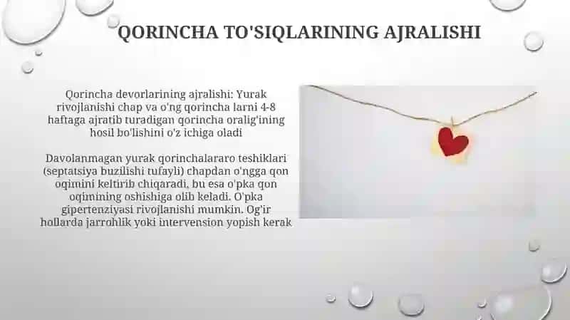 Yurak hajmi va nuqsonlari 4