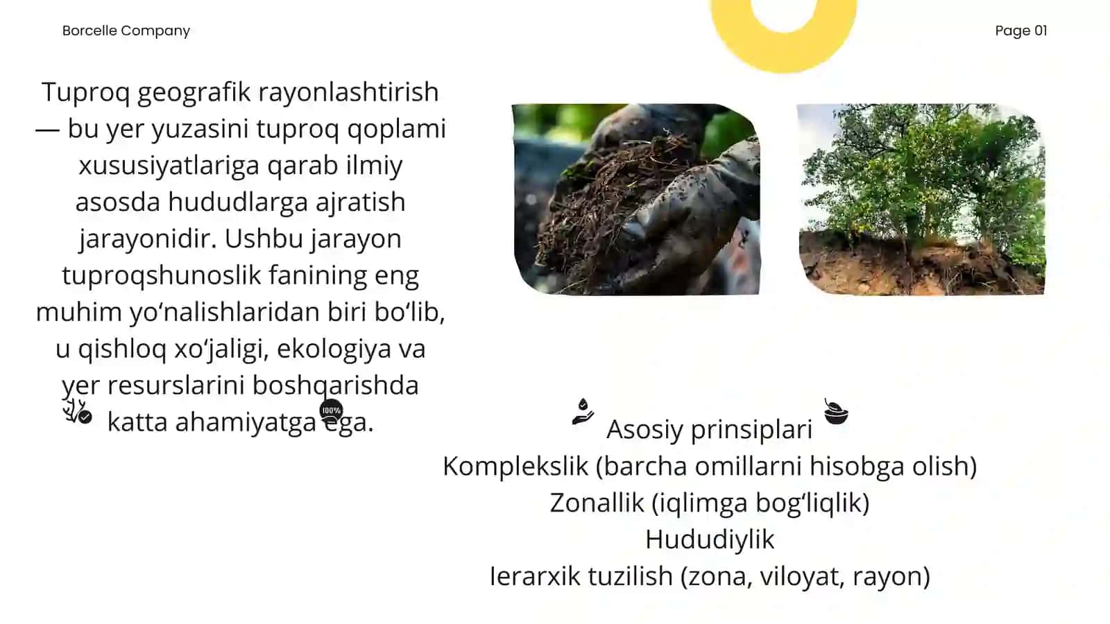 Tuproq geografik rayonlashtirish tajribalari 4