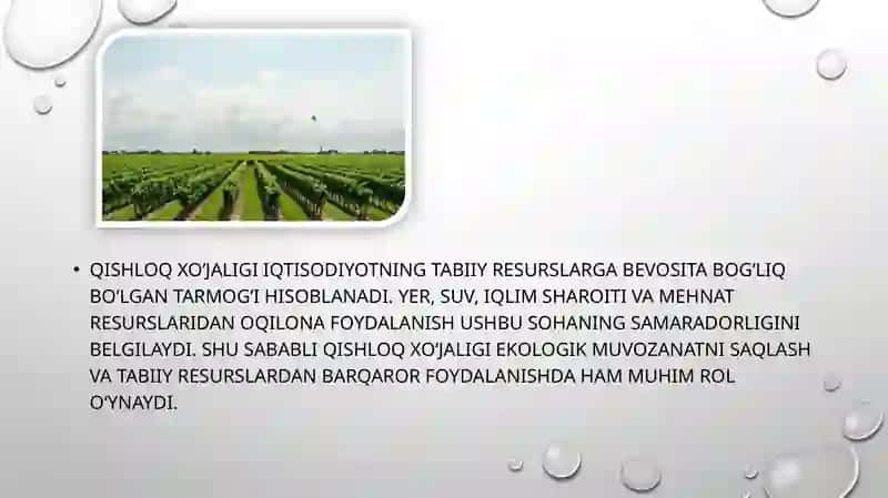 Qishloqxo’jaligining milliy iqtisodiyotda tutgan o‘rni 4
