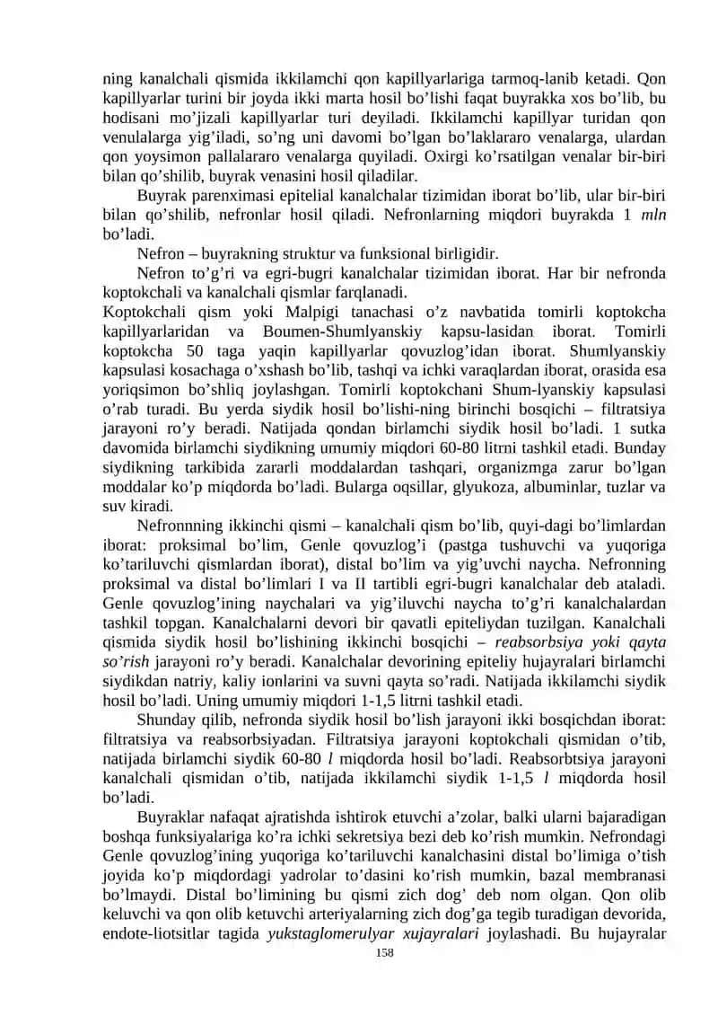 Siydik VA TANOSIL A'ZOLAR TIZIMI 4