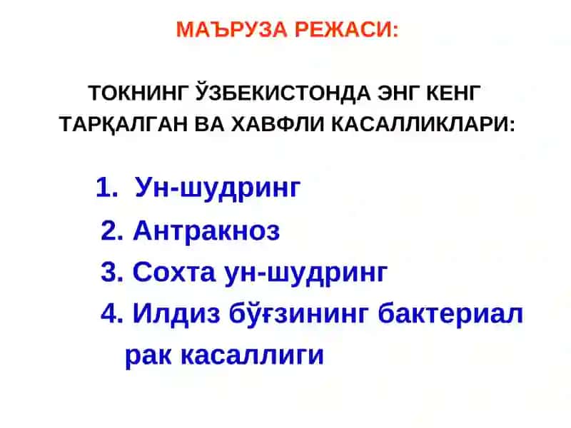 ТОК КАСАЛЛИКЛАРИ ВА УЛАРГА ҚАРШИ КУРАШ ЧОРАЛАРИ 4