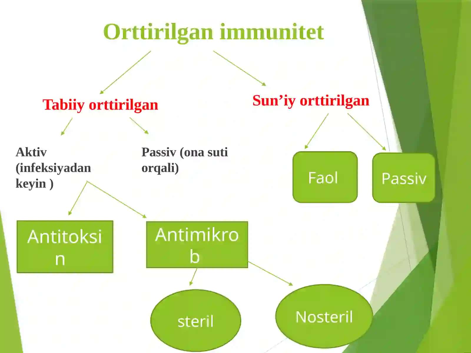 Immunitetva uning turlari.Immunitet tizimining markaziyvapereferik organlarinig morfofunksional tavsifi. Limfoepitelialtiziminingtuzilmalari 4