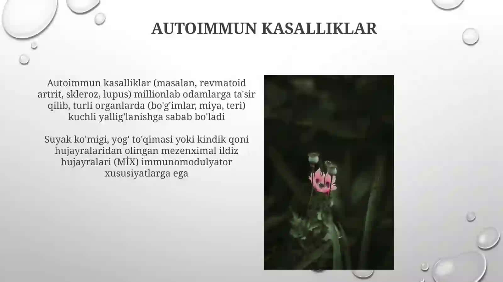 Poyali hujayra terapiyalari: Hozirgi qo'llanilishi 4