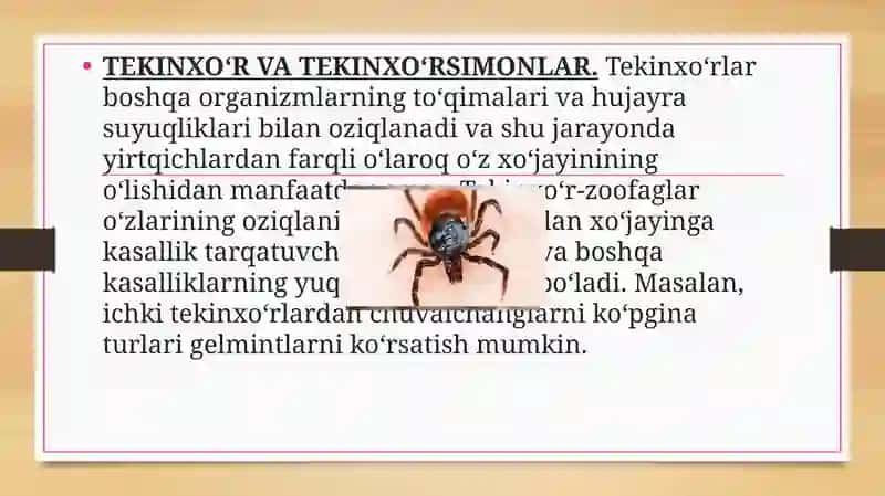 Madaniy senozlarning tiriklik jamoalarini tur tarkibi bilan tanishish 4