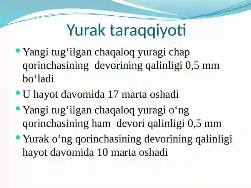 BOLALARDA YURAK-QON TOMIR TIZIMINING ANATOMO-FIZIOLOGIK XUSUSIYATLARI 4