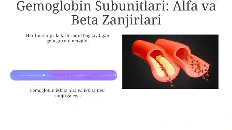 Gemoglobin Tuzilmasi 4