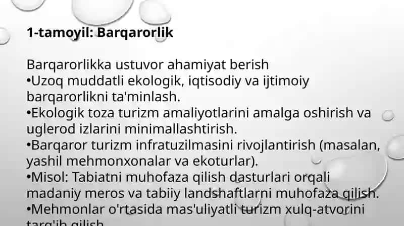 Turizmni rejalashtirish tamoyillari 4