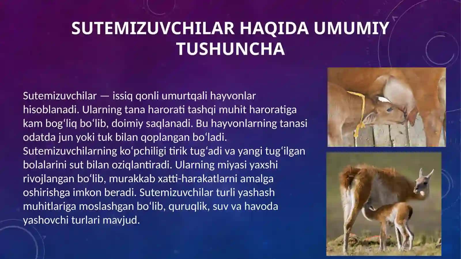 Sutemizuvchilar - Mammalia sinfining umumiy tavsifi va tuzilishi 4