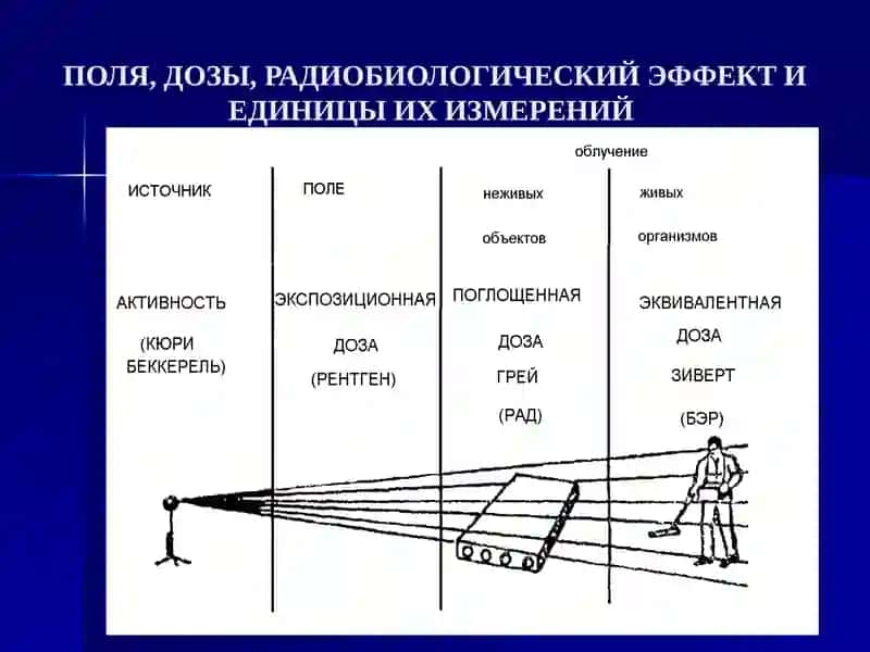 Радиацияи ее воздействие на живой организм 4