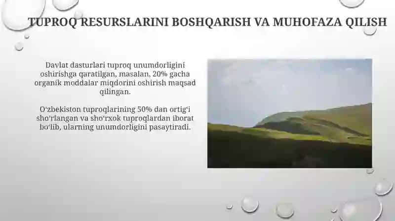 Oʻzbekiston tuproqlari profilini chizish 4