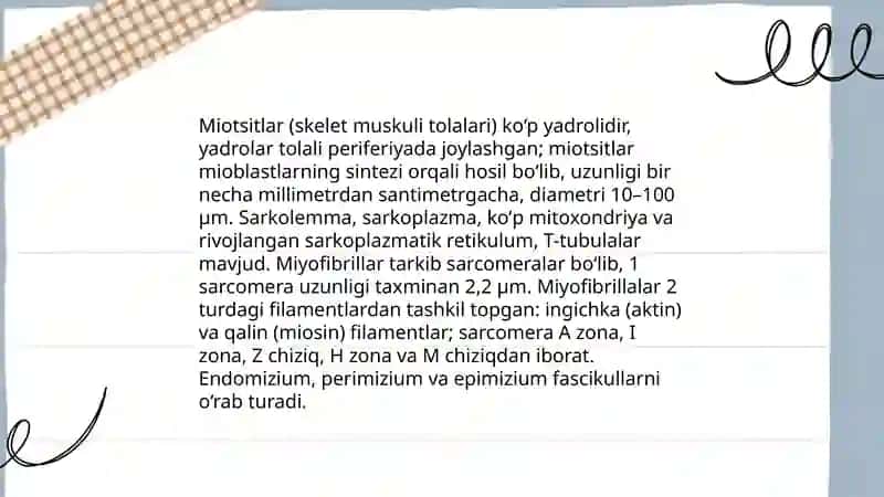 Muskul to‘qimalar sistemasi gistomorfologik tuzilishi 4