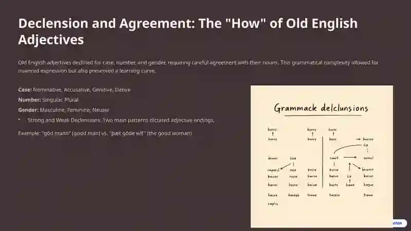 Unveiling Old English: A Journey Through Adjectives, Pronouns, and Numerals 4