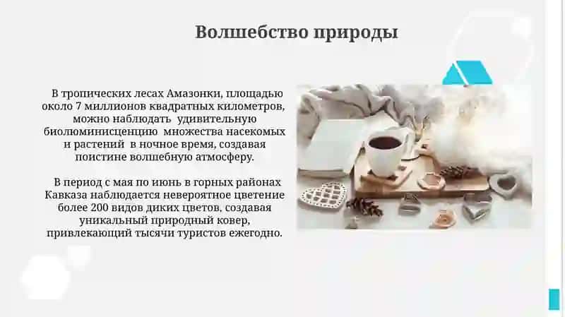 Sevimli fasl 4