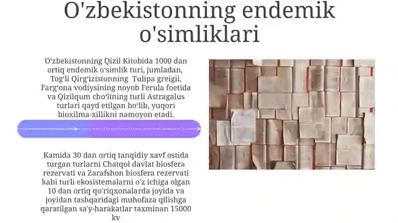 O‘zbekiston respublikasida qizil kitobga kiritilgan o‘simliklar 4