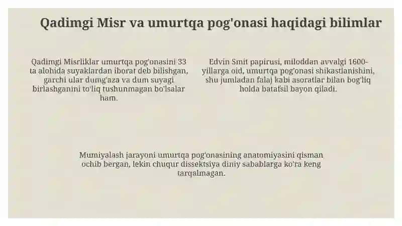 Umurtqa pog'onasi va qovurg'a qafasining anatomiyasi 4