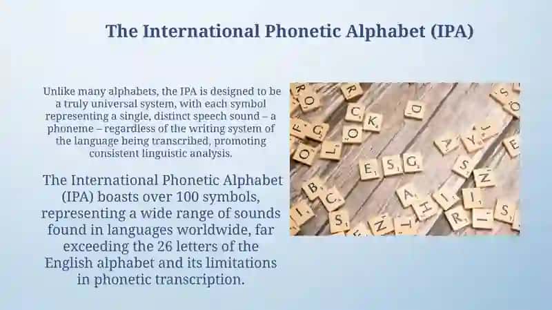 Vowels and consonants 4