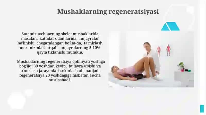 Fiziologik va reparatev regeneratsiya 4