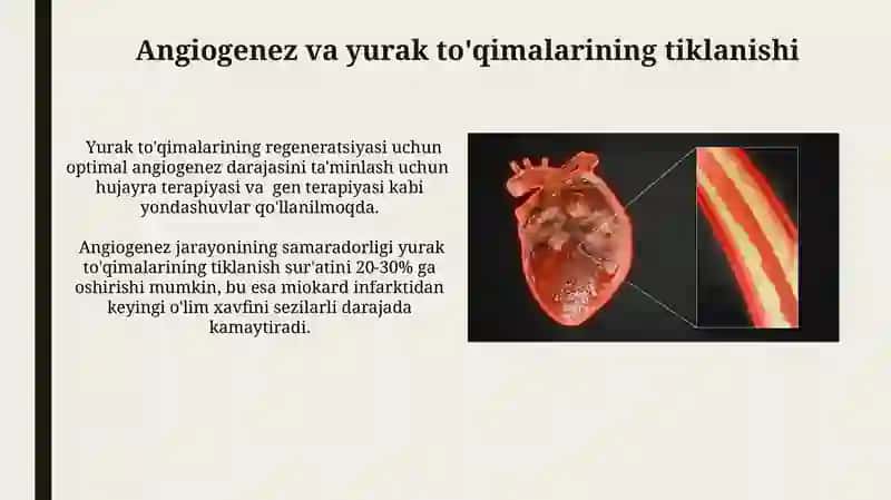 Yurak mushagi regeneratsiyasi 4
