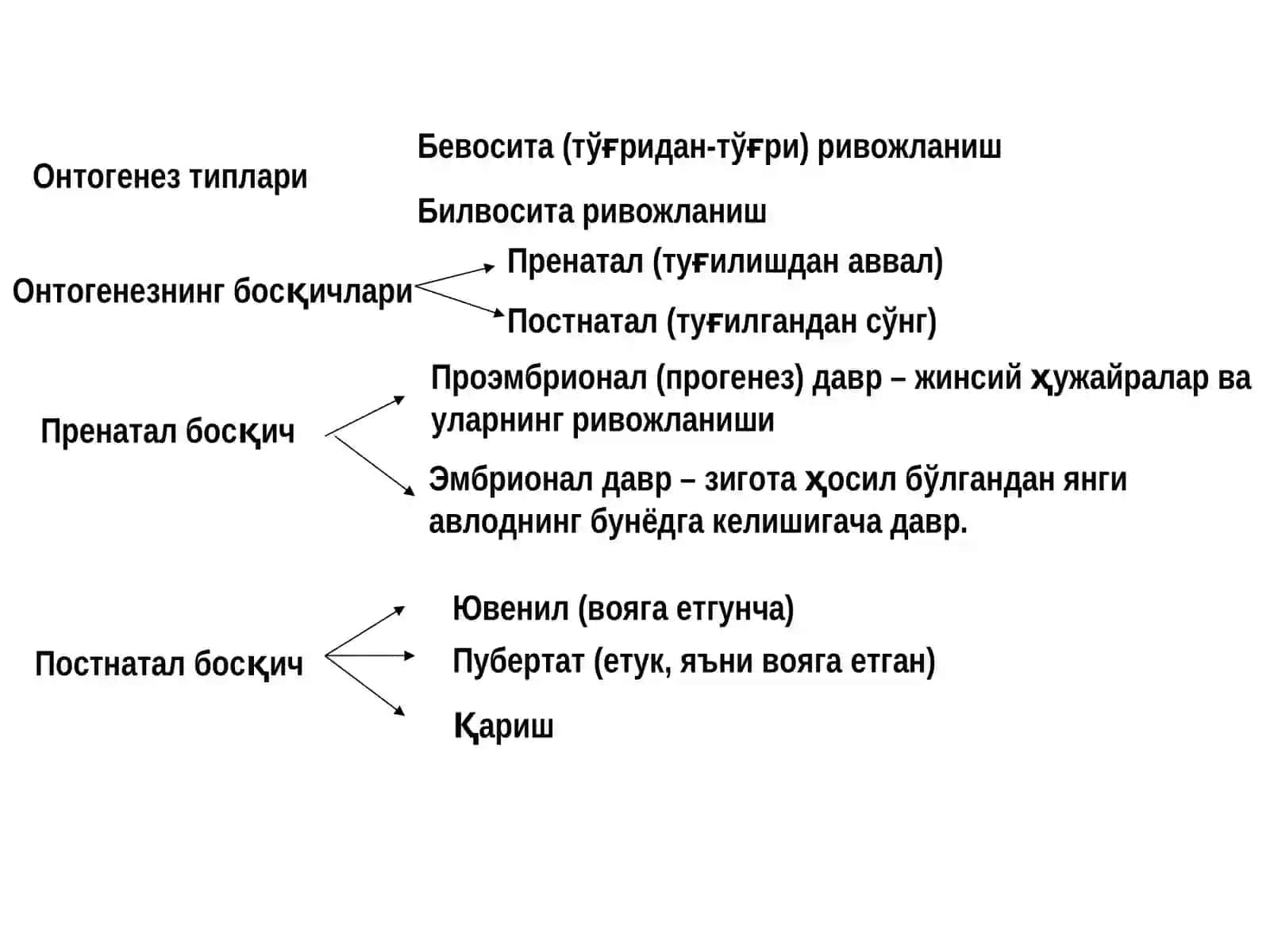 Индивидуал ривожланиш. Регенерация. Трансплантация. Гомеастаз 4