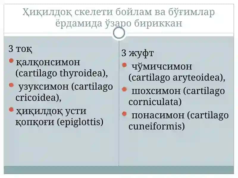 ХИКИЛДОКНИНГУТКИР КАСАЛЛИКЛАРИ 4