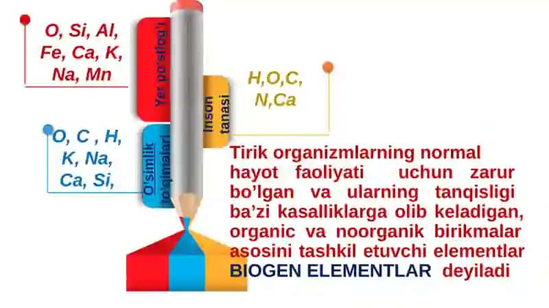 Biogenelementlar va ularning tirik organizmlar dagi axamiyati 4