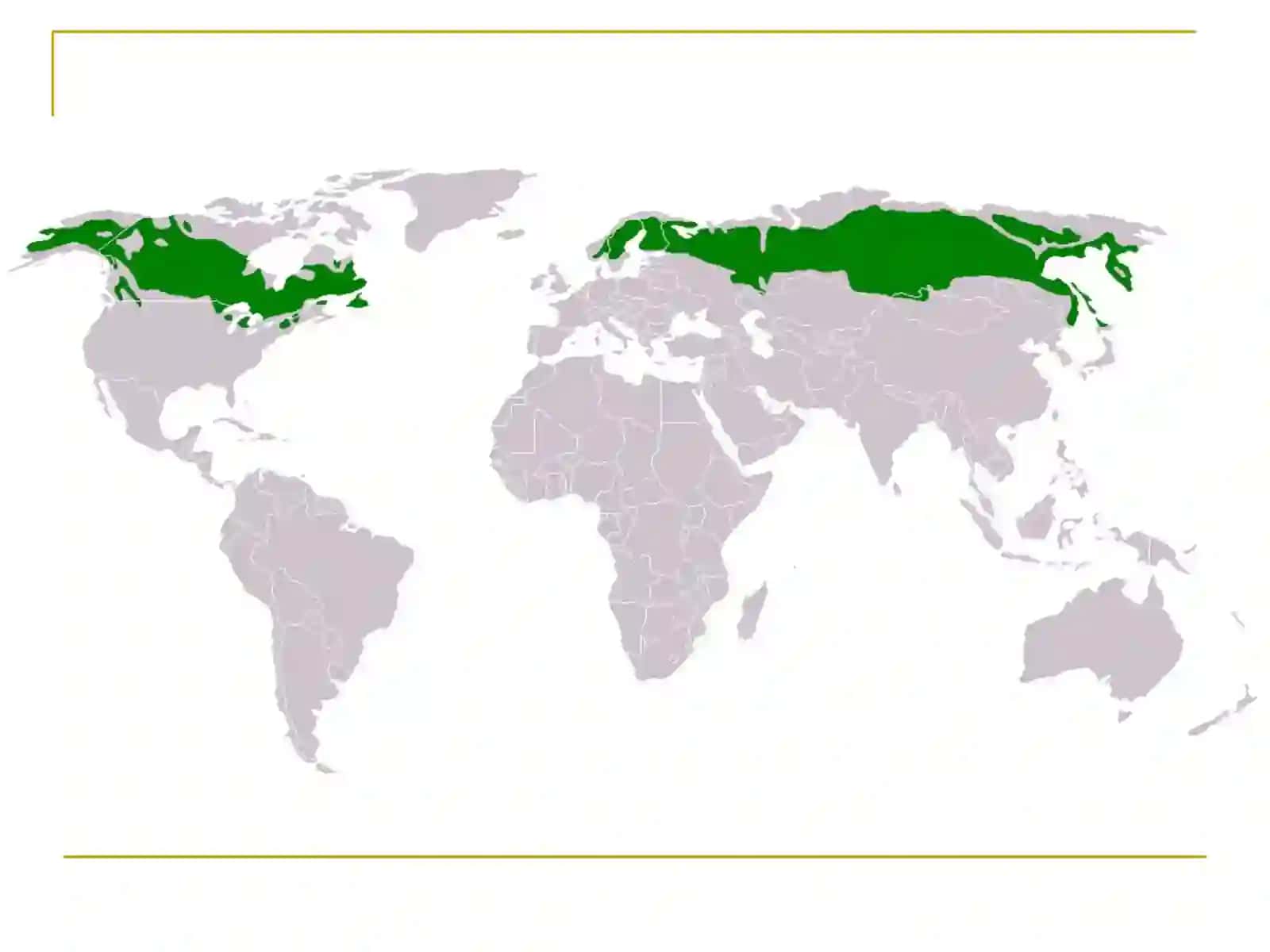 Boreal va subboreal mintaqa tuproqlari geografiyasi 4