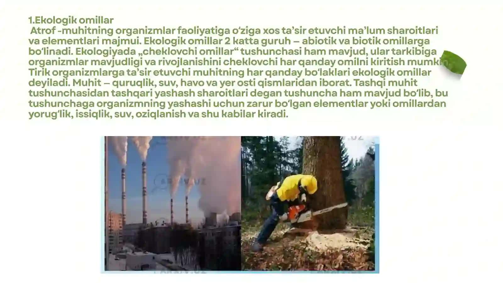 EKOLOGIK OMILLAR VA ULARNING ORGANIZMLARGA TA’SIRI 4